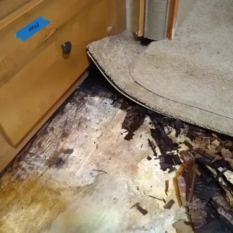 Wood Floor Water Damage in Sterling, VA